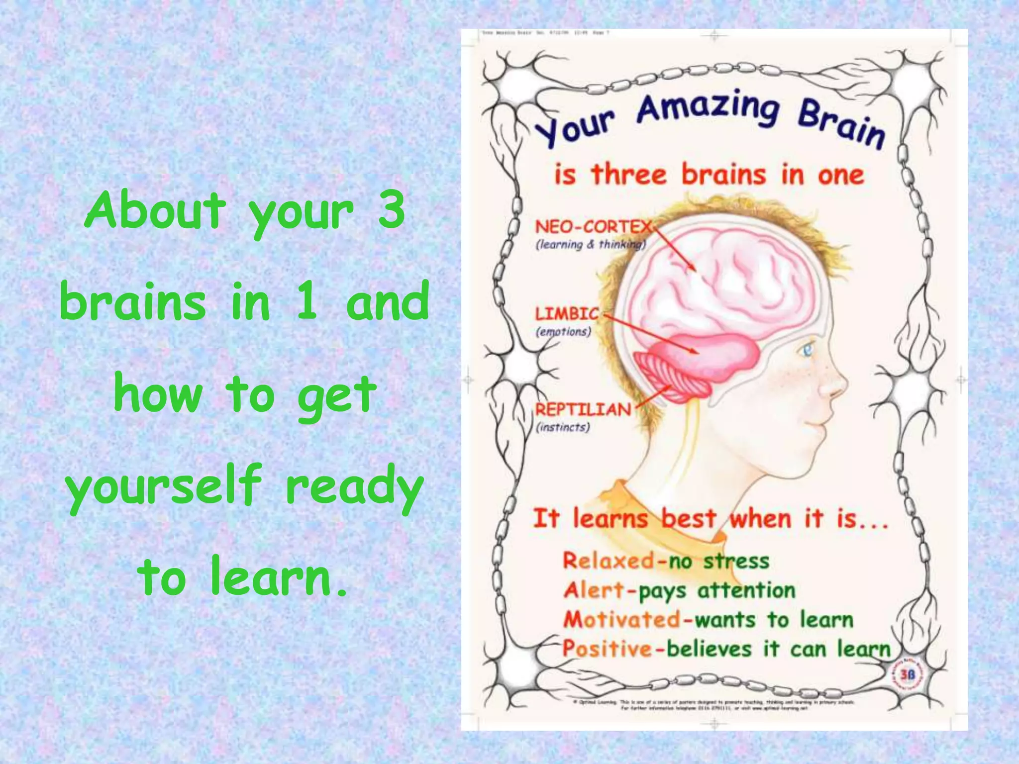 About your 3
brains in 1 and
how to get
yourself ready
to learn.