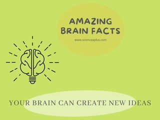 AMAZING
BRAIN FACTS
www.scienceaplus.com
YOUR BRAIN CAN CREATE NEW IDEAS
 