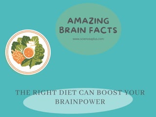 AMAZING
BRAIN FACTS
www.scienceaplus.com
THE RIGHT DIET CAN BOOST YOUR
BRAINPOWER
 