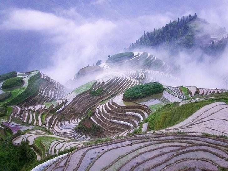 asian landscape simple landscape design asian garden design adhome