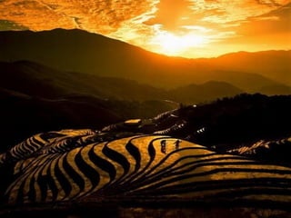 Topic Three Details about this topic Supporting information and examples How it relates to your audience 