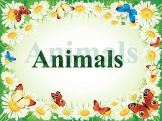 What animals
can you see here?
1. An elephant
2. A tiger
3. A pig
4. A rabbit
5. A kangaroo
6. A giraffe
7. A frog
8. A do...