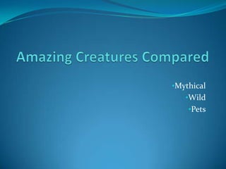 Amazing Creatures Compared ,[object Object]