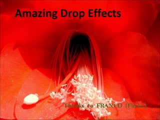 Amazing Drop Effects Thanks to FRANCO (Flickr) Arham 