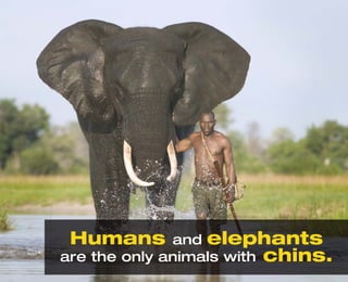 Top 20 Facts - Amazing but True | PDF
