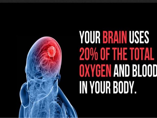 amazing facts about brain body measuring app