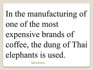 In the manufacturing of
one of the most
expensive brands of
coffee, the dung of Thai
elephants is used.
Netmarkers
 