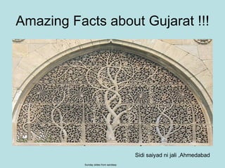 Amazing Facts about Gujarat !!! Sidi saiyad ni jali ,Ahmedabad Sunday slides from sandeep 