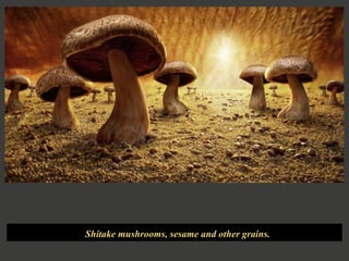 Shitake mushrooms, sesame and other grains.  