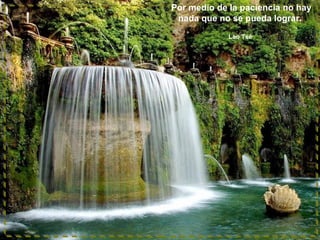 Por medio de la paciencia no hay
nada que no se pueda lograr.
Lao Tsé

 
