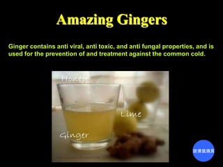 Amazing Gingers
Ginger contains anti viral, anti toxic, and anti fungal properties, and is
used for the prevention of and treatment against the common cold.




                                                                  按滑鼠換頁
 