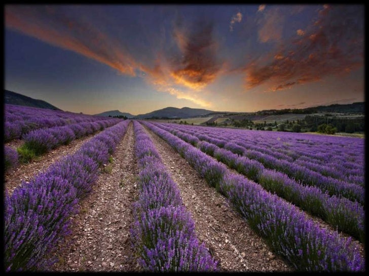 Amazing HD Photography Amazing HD Photography