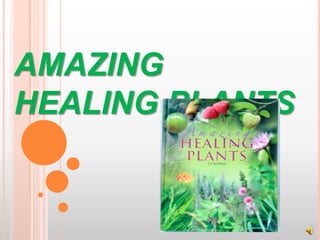 AMAZING
HEALING PLANTS
 