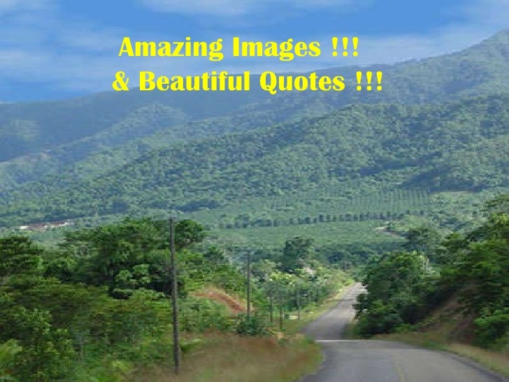 Amazing Images And Beautiful Quotes