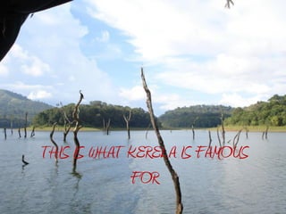 THIS IS WHAT KERELA IS FAMOUS
             FOR
 