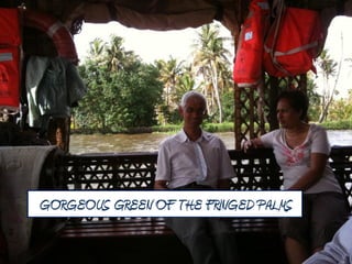 GORGEOUS GREEN OF THE FRINGED PALMS.
 