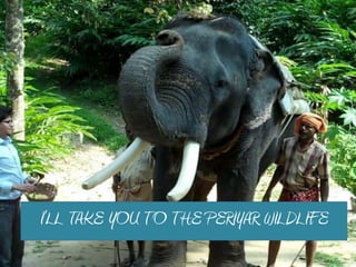 I’LL QAKE YOR QO QHE PERIYAR WILDLIFE
 
