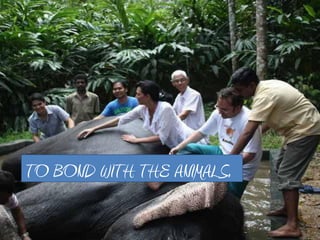 TO BOND WITH THE ANIMALS.
 