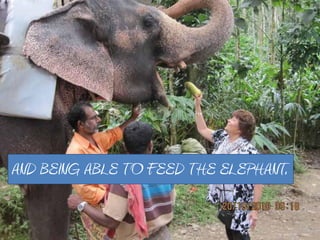 AND BEING ABLE TO FEED THE ELEPHANT.
 