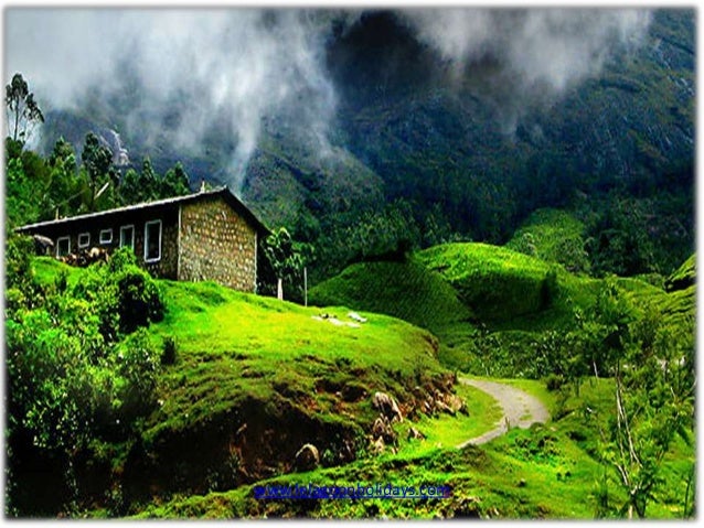 Amazing natural beauty of nature