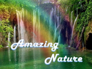 Amazing Nature 