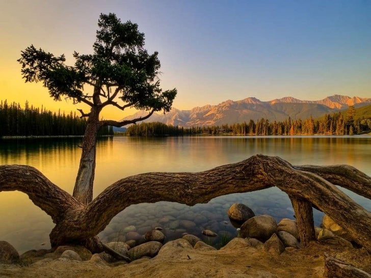 amazing nature