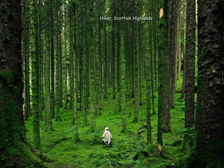 Hiker, Scottish HighlandsHiker, Scottish Highlands
 