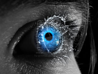 aMaZiNg pIcZs oF eYeZ eVeR