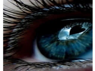 aMaZiNg pIcZs oF eYeZ eVeR