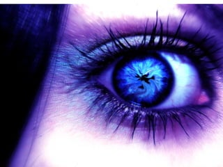 aMaZiNg pIcZs oF eYeZ eVeR