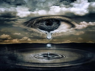 aMaZiNg pIcZs oF eYeZ eVeR