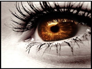 aMaZiNg pIcZs oF eYeZ eVeR