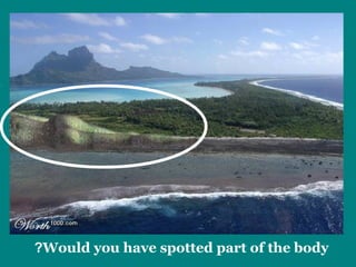 ?Would you have spotted pa rt of the body 
 