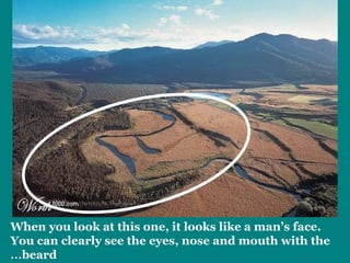 When you look at this one, it looks like a man’s face. 
You can clearly see the eyes, nose and mouth with the 
…beard 
 