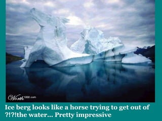 Ice berg looks like a horse trying to get out of 
?!?!the water… Pretty impressive 
 