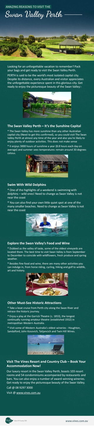 Amazing Reasons to Visit the Swan Valley Perth
