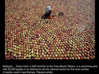 Malaysia ... Diana Hadi, a staff member at the Tiara Beach Resort, in a swimming pool  with 20,000 apples in an attempt to set the national record for the most number  of apples used in spa therapy / Reuters photo  
