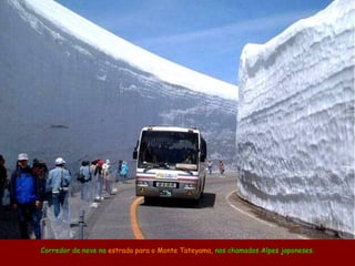 Corredor de neve na estrada para o Monte Tateyama, nos chamados Alpes japoneses.
 