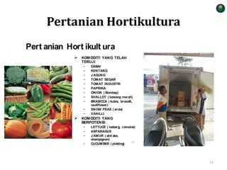 Pertanian Hortikultura
Pert anian Hort ikult ura
 KOMODITI YANG TELAH
TERUJI
– CABAI
– KENTANG
– JAGUNG
– TOMAT SEGAR
– TOMAT INDUSTRI
– PAPRIKA
– ONION ( Bombay)
– SHALLOT ( bawang merah)
– BRASICCA ( kubis, brocolli,
cauliflower)
– SNOW PEAS ( ercis)
– VANILLI
 KOMODITI YANG
BERPOTENSI:
– LETTUCE ( iceberg, romaine)
– ASPARAGUS
– JAMUR ( shit ake,
champignon)
– CUCUMBER ( pickling)
127
51
 