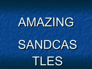 AMAZING SANDCASTLES 