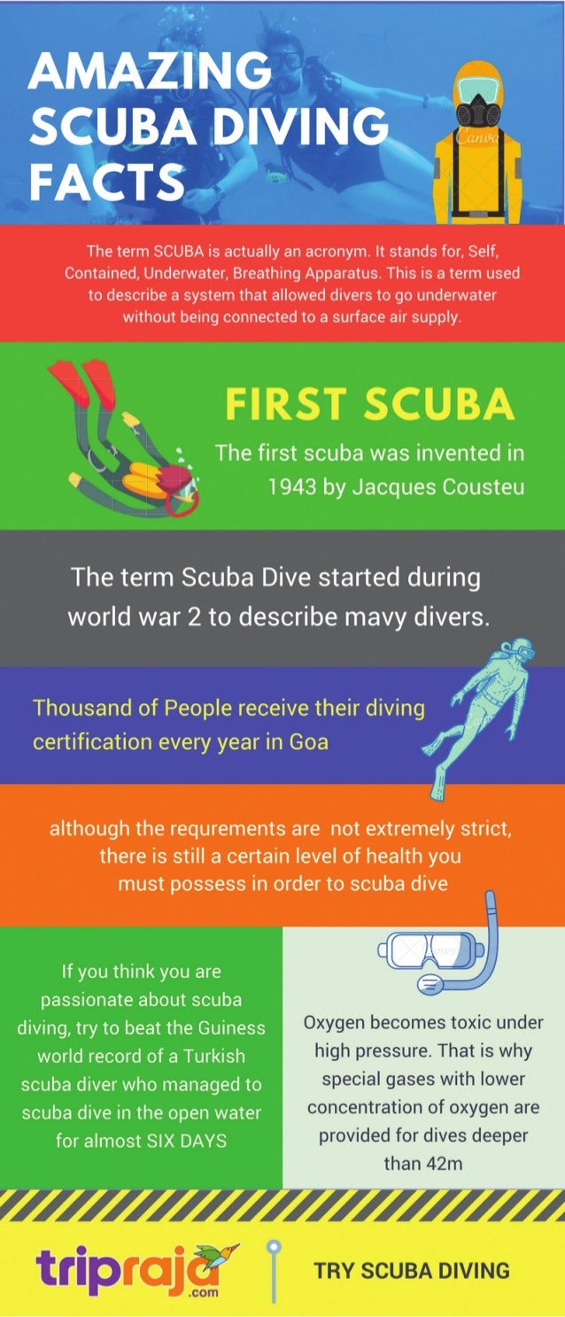 Amazing scuba diving facts by tripraja