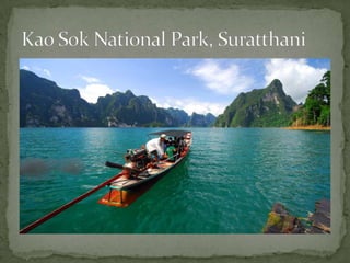Kao Sok National Park, Suratthani