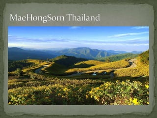 MaeHongSorn Thailand