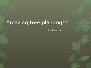Amazing tree planting!!!
By Kendra
 