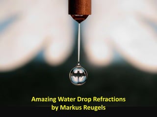 Amazing Water Drop Refractions
      by Markus Reugels
 