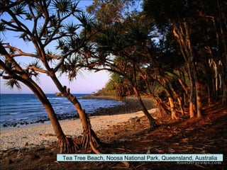 Tea Tree Beach, Noosa National Park, Queensland, Australia 