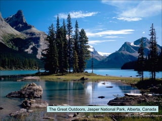 The Great Outdoors, Jasper National Park, Alberta, Canada 