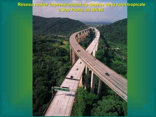 Réseau routier impressionnant au-dessus de la forêt tropicaleRéseau routier impressionnant au-dessus de la forêt tropicale
à Sao Paolo, au Brésilà Sao Paolo, au Brésil
 