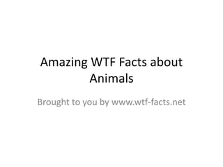 Amazing WTF Facts about animals that will blow your mind PPTX