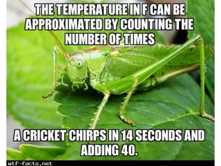 Amazing WTF Facts about animals that will blow your mind | PPTX